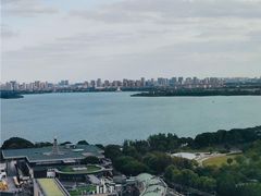 -洄归山也·高空C位湖景下午茶(东方之门店)