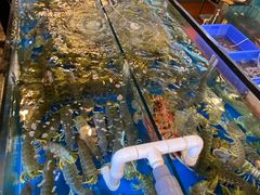 水产区-猪肉婆私房菜(容桂总店)