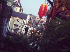 -慢丽江·云南野生菌土鸡锅(付家庄店)