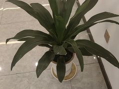 -觉藏茶社(博地影秀城店)