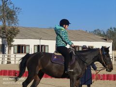 -北京群众马术培训基地