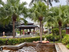 -罗浮山嘉宝田森林温泉度假酒店