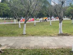 -万绿园