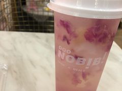 -NOBiBi