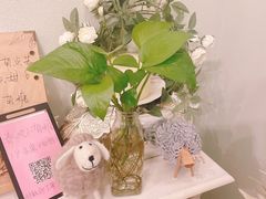 -春风·有糖(崇宁路店)