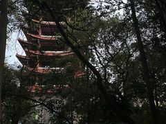 -缙云山景区