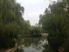 -宝鸡植物园