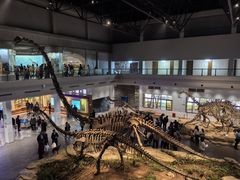 -自贡恐龙博物馆