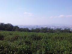 -南京市江宁方山