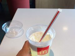 -麦当劳(瓦房店世纪广场店)