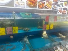-粤盛海鲜平价店(洛溪食街店)