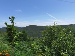 -铜川市金锁关石林