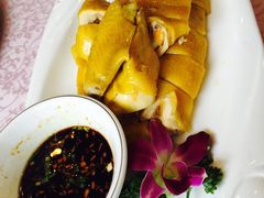 -旭龙鱼头王(航华店)