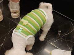 -炉鱼(萧山万象汇店)