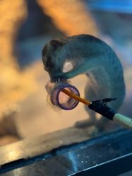 -未来动物城主题公园(正弘城店)