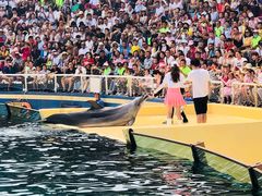 -秦皇岛乐岛海洋王国