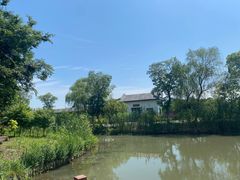 -梁鸿国家湿地公园