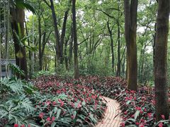 -云溪植物园