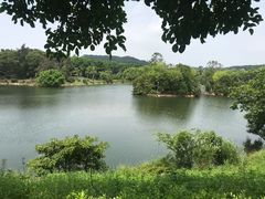 -泉州迎宾馆