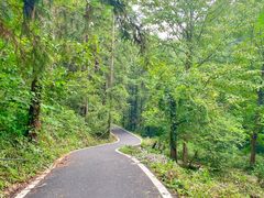 -素山寺森林公园