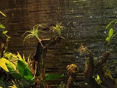 -泰适SPA馆丨精油·按摩·足道(后海地铁口店)