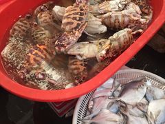 -众彩物流水产市场