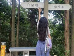 -火炉山森林公园
