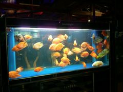 -胖哥俩肉蟹煲(海盐总店)