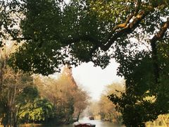 -西溪国家湿地公园