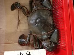 -龙海鲜螃蟹王(宏茂桥店)