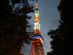 -东京塔海贼王主题公园