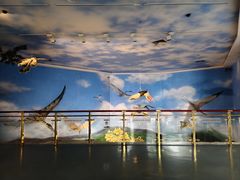 -安徽省地质博物馆