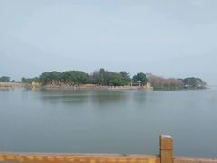 -同里湖度假村(二期店)