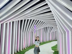 -三亚亚龙湾希尔顿酒店