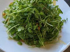-No.DD戳子烧烤·江湖菜(北京总店)