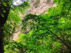 -野三坡百里峡景区