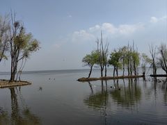 -洱海月湿地公园
