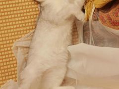-五一换装自拍馆