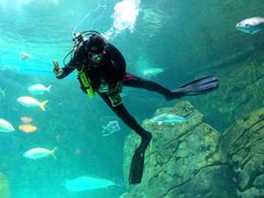 -瑞普利水族馆