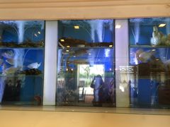 -新加坡海鲜共和(名胜世界圣淘沙海滨坊)