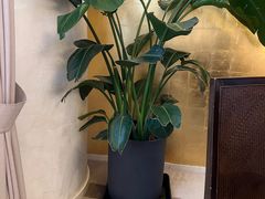 -恒悦轩·粤菜(上海展览中心店)