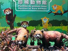 -石排湾郊野公园