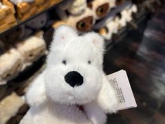 -酷乐潮玩(五道口购物中心店)