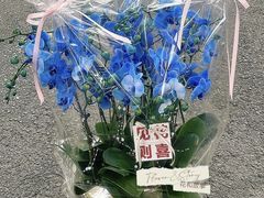 -F.Story 花和故事(新天地店)