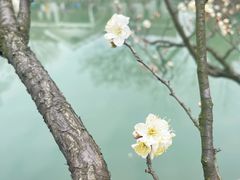 -无锡梅园公园