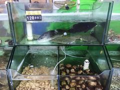 -四海鲜渔家菜(黄金海岸店)