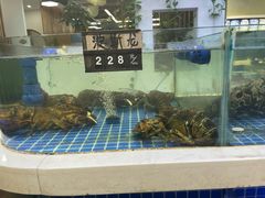 -大众海鲜(巨龙北路店)