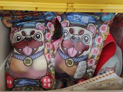 -爱宠屋pet shop·宠物洗澡·宠物美容