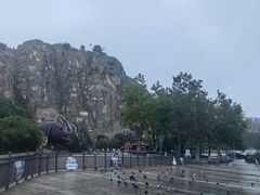 -西霞口神雕山野生动物世界