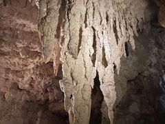 -怀托摩萤火虫洞